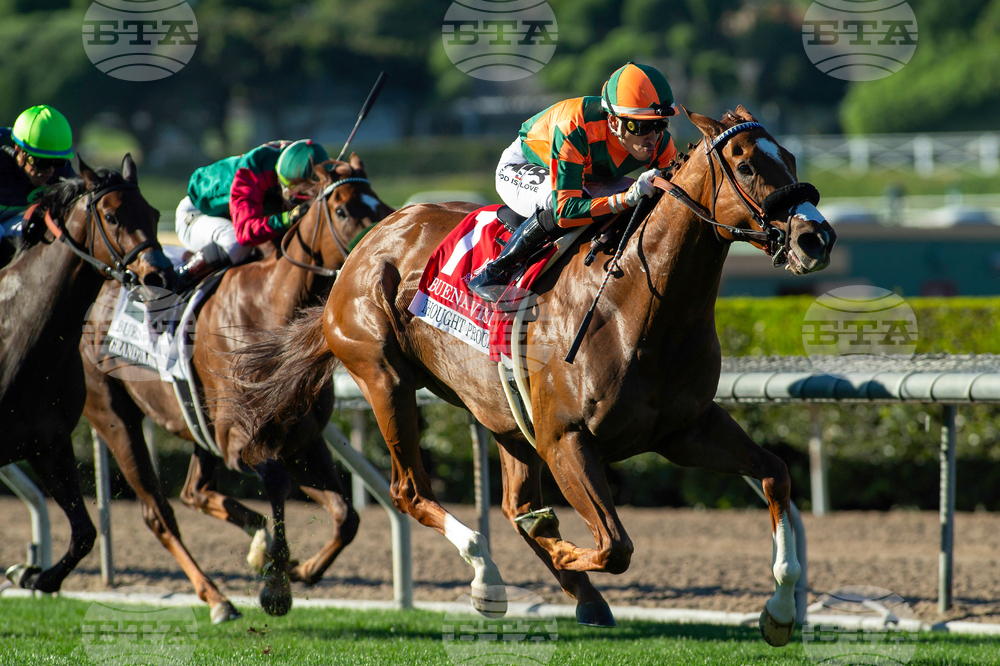 Santa Anita Horse Racing