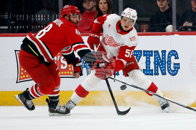 Red Wings Hurricanes Hockey