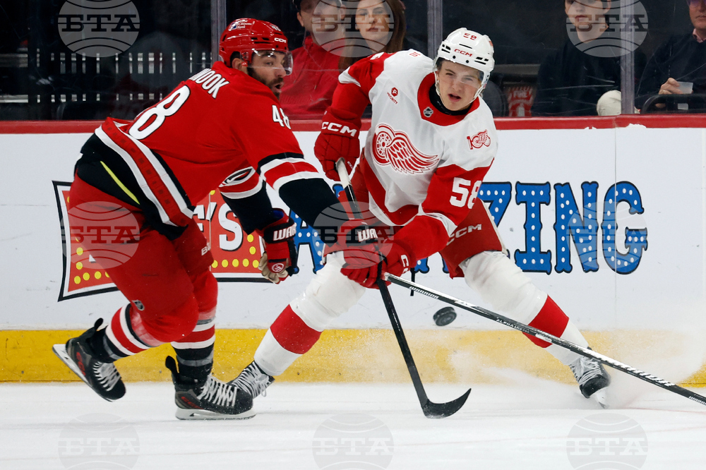 Red Wings Hurricanes Hockey