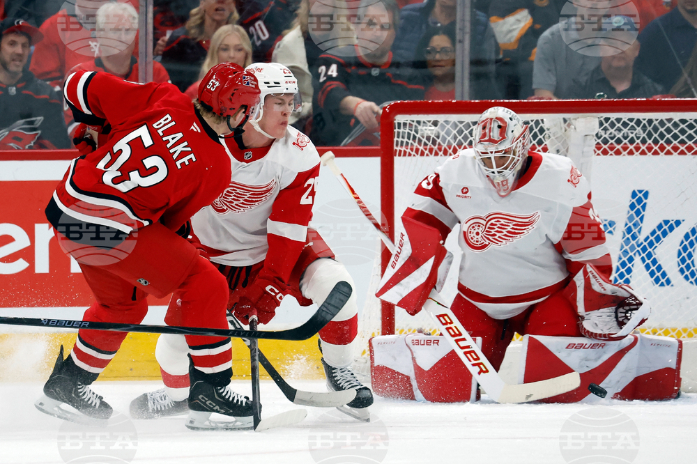 Red Wings Hurricanes Hockey