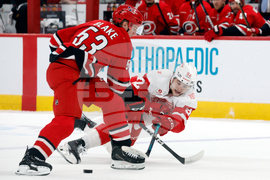 Red Wings Hurricanes Hockey