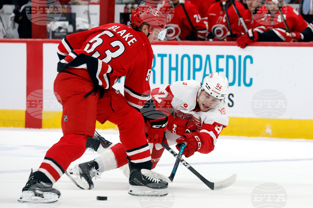 Red Wings Hurricanes Hockey