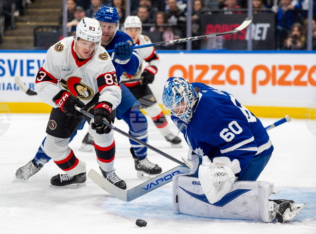Senators Maple Leafs Hockey