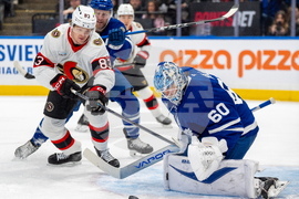Senators Maple Leafs Hockey