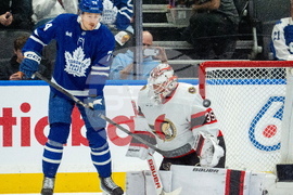 Senators Maple Leafs Hockey