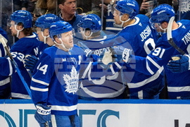 Senators Maple Leafs Hockey