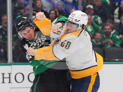 Predators Stars Hockey