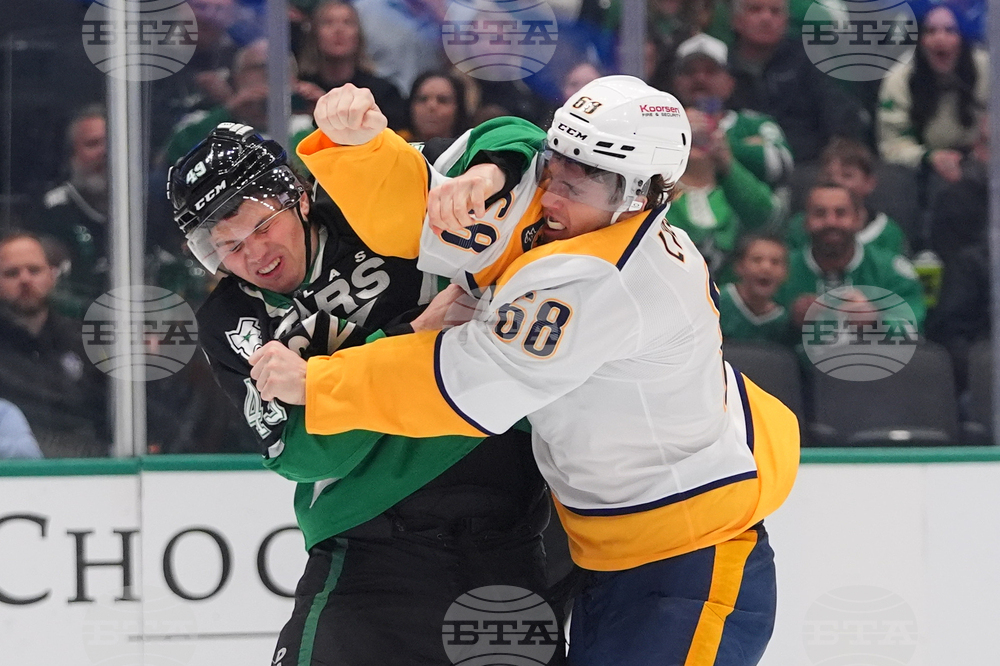 Predators Stars Hockey