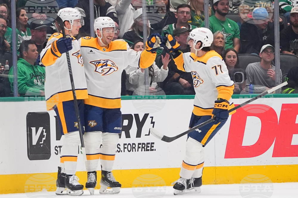 Predators Stars Hockey