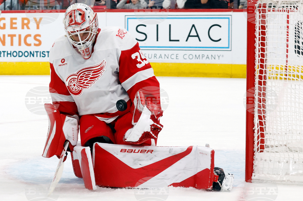 Red Wings Hurricanes Hockey