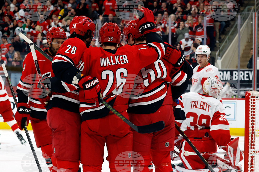 Red Wings Hurricanes Hockey