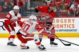 Red Wings Hurricanes Hockey