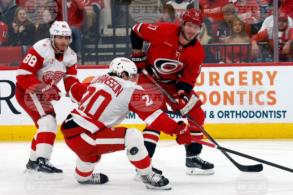 Red Wings Hurricanes Hockey