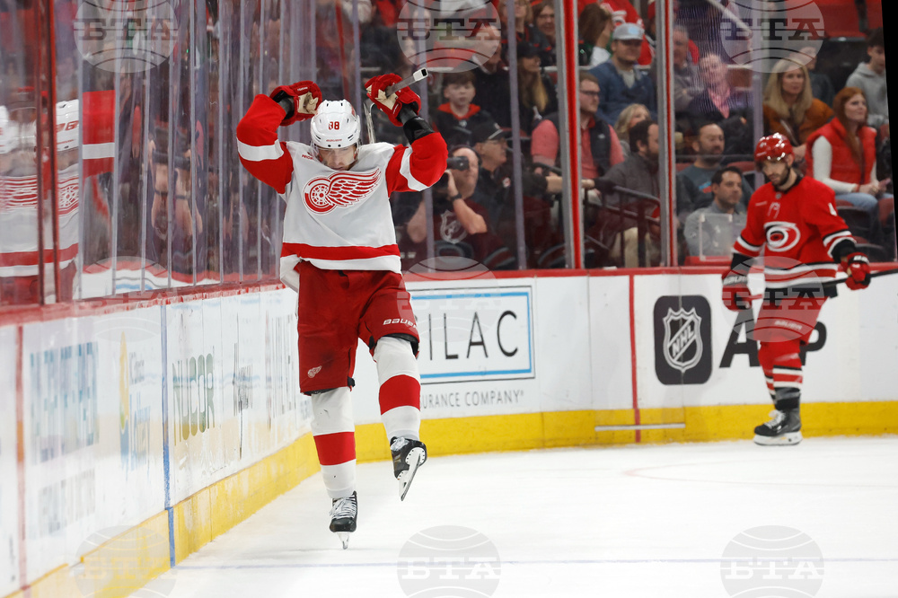 Red Wings Hurricanes Hockey