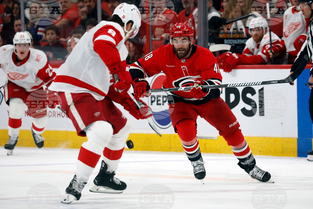 Red Wings Hurricanes Hockey