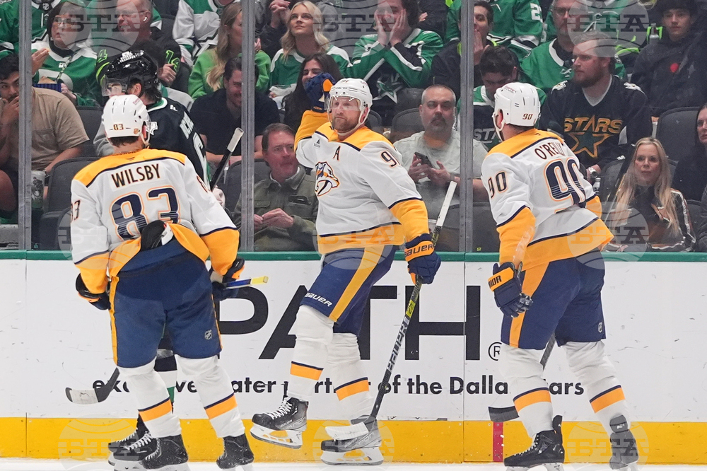 Predators Stars Hockey