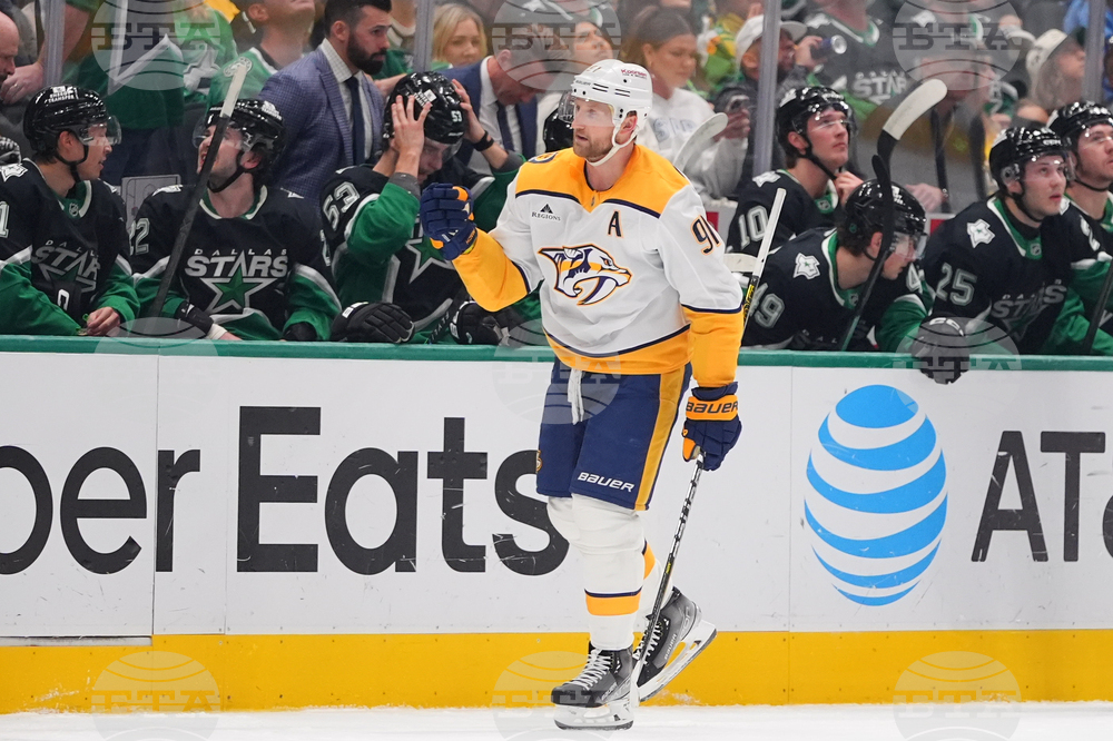 Predators Stars Hockey