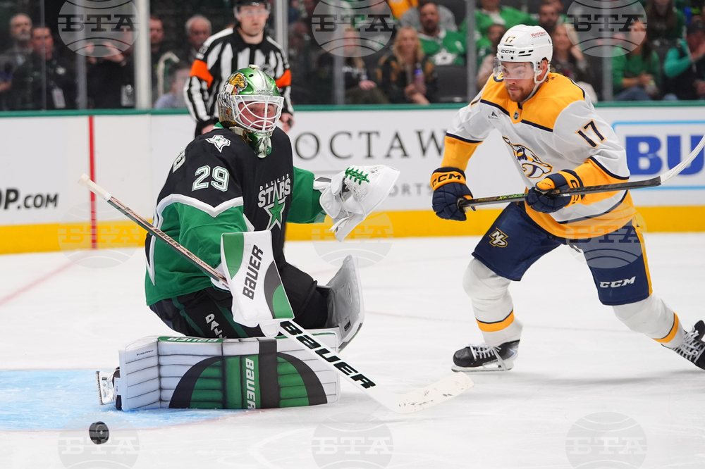 Predators Stars Hockey