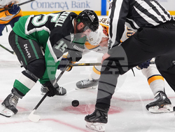 Predators Stars Hockey