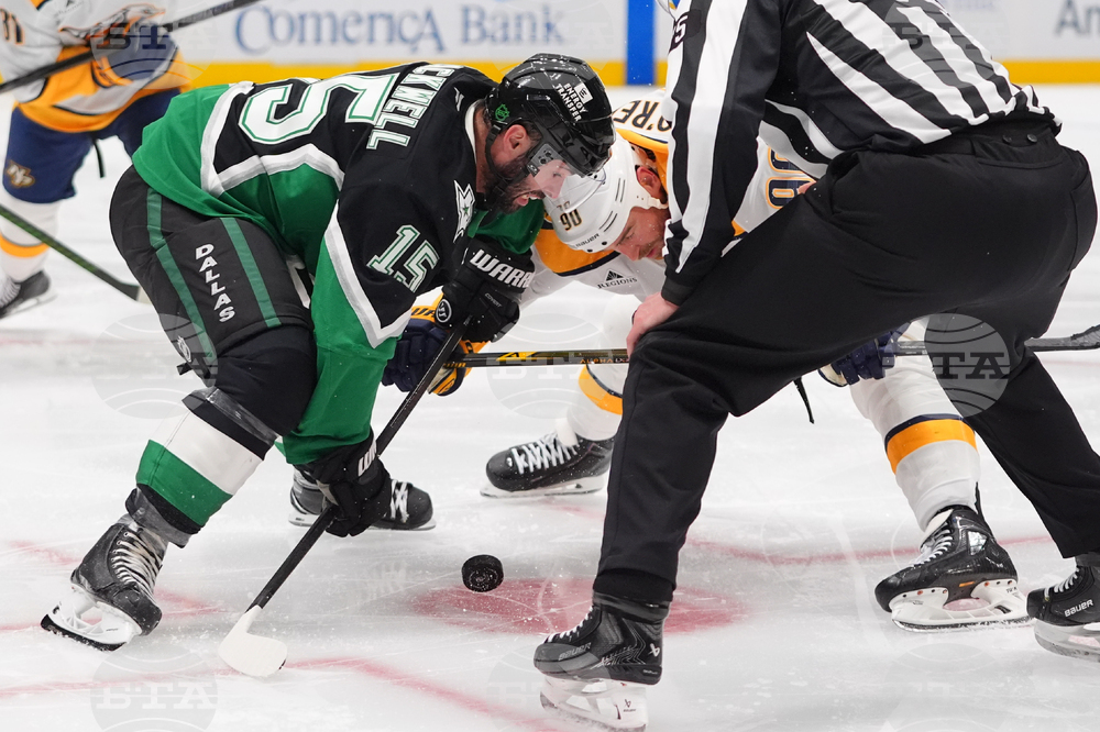 Predators Stars Hockey