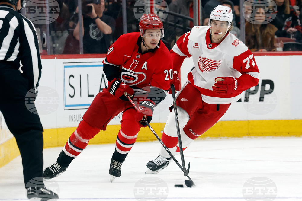 Red Wings Hurricanes Hockey