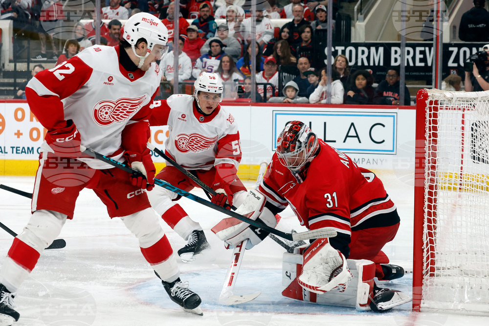 Red Wings Hurricanes Hockey
