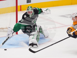 Predators Stars Hockey