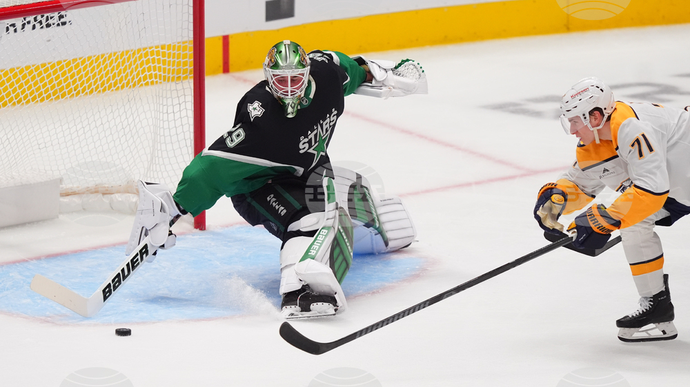 Predators Stars Hockey