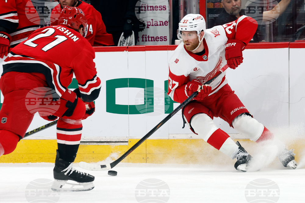 Red Wings Hurricanes Hockey