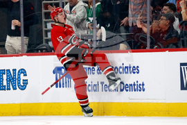 Red Wings Hurricanes Hockey