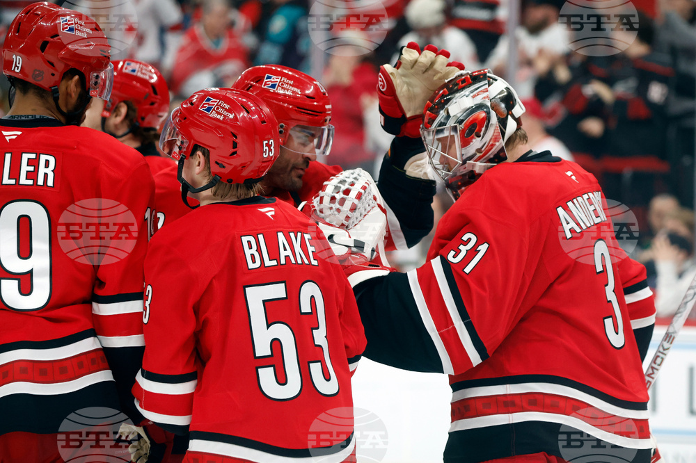 Red Wings Hurricanes Hockey