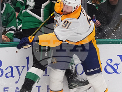 Predators Stars Hockey