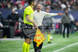 MLS Toronto FC Whitecaps Soccer