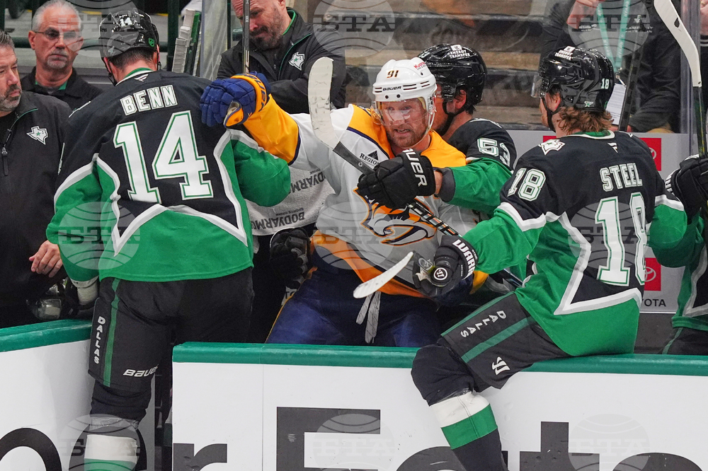 Predators Stars Hockey