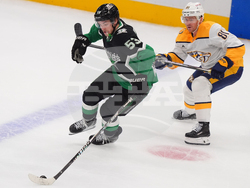 Predators Stars Hockey