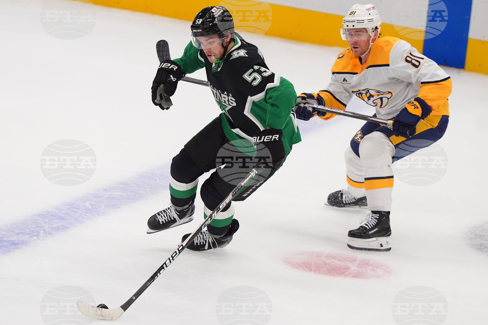 Predators Stars Hockey