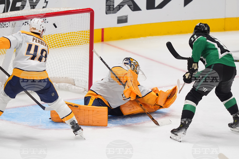 Predators Stars Hockey