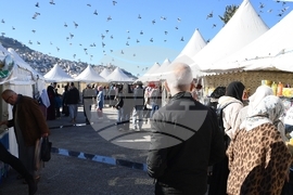 Algeria Ramadan Food Costs