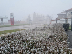 Търговище - мъгла - видимост
