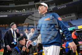 WBC Baseball Japan