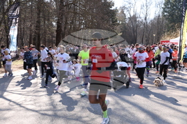Южен парк - „PulseDay: Бягай за ритъма на сърцето си“ - бягане