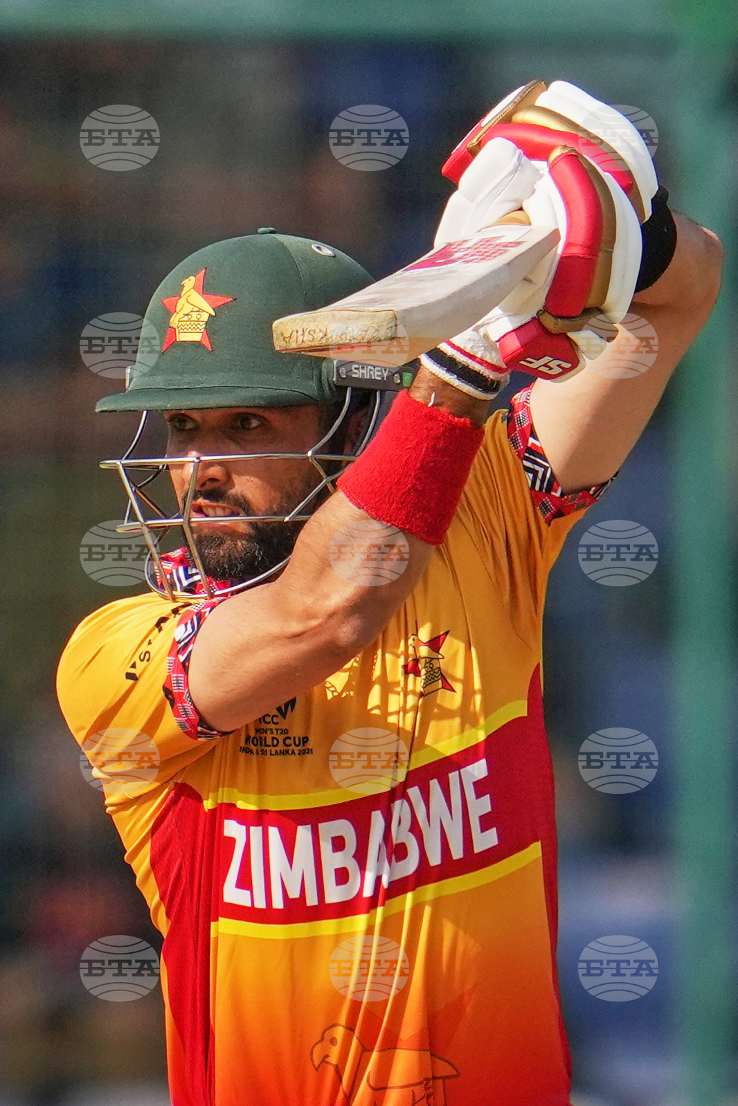 South Africa and Zimbabwe T20 WCup Cricket