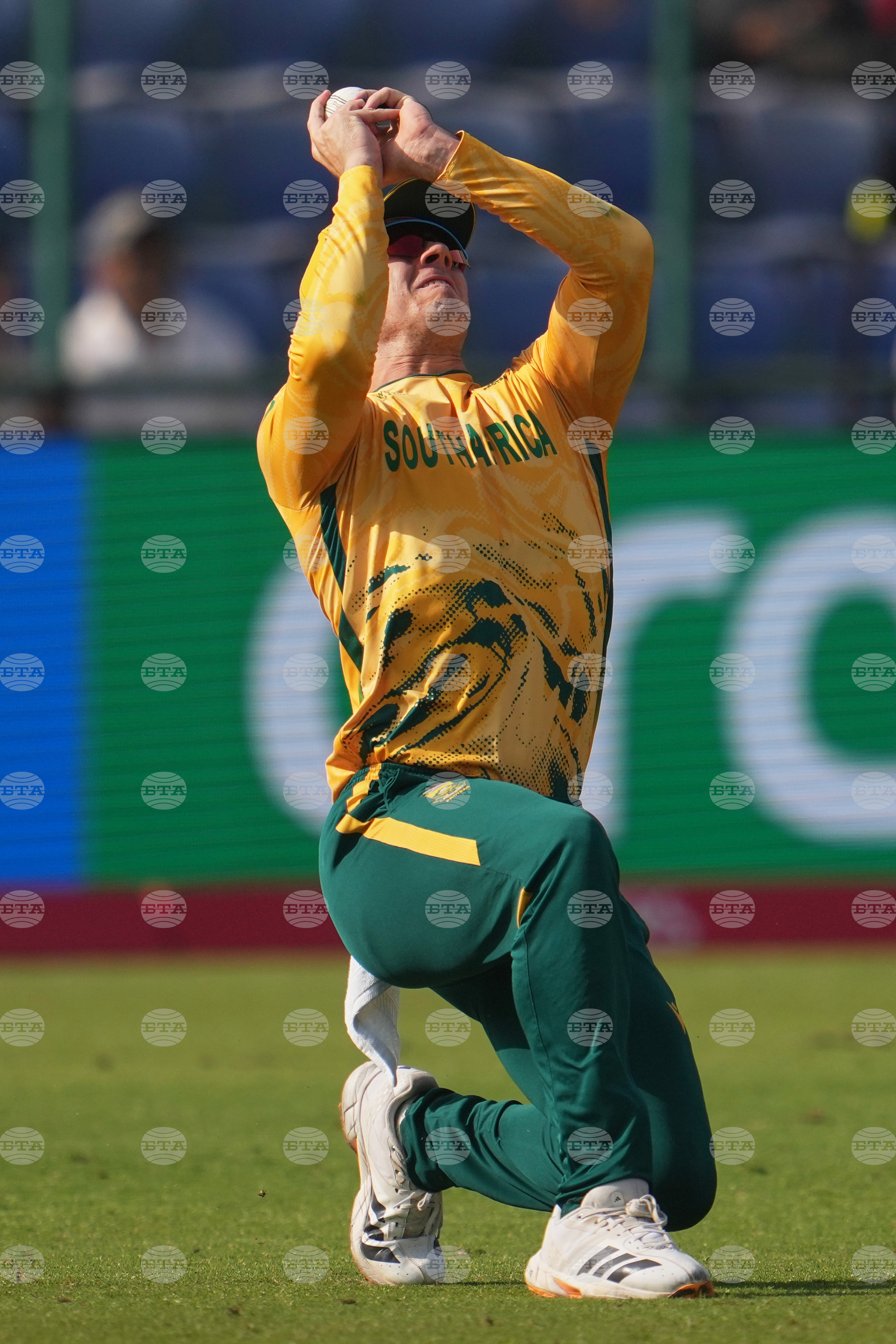 South Africa and Zimbabwe T20 WCup Cricket