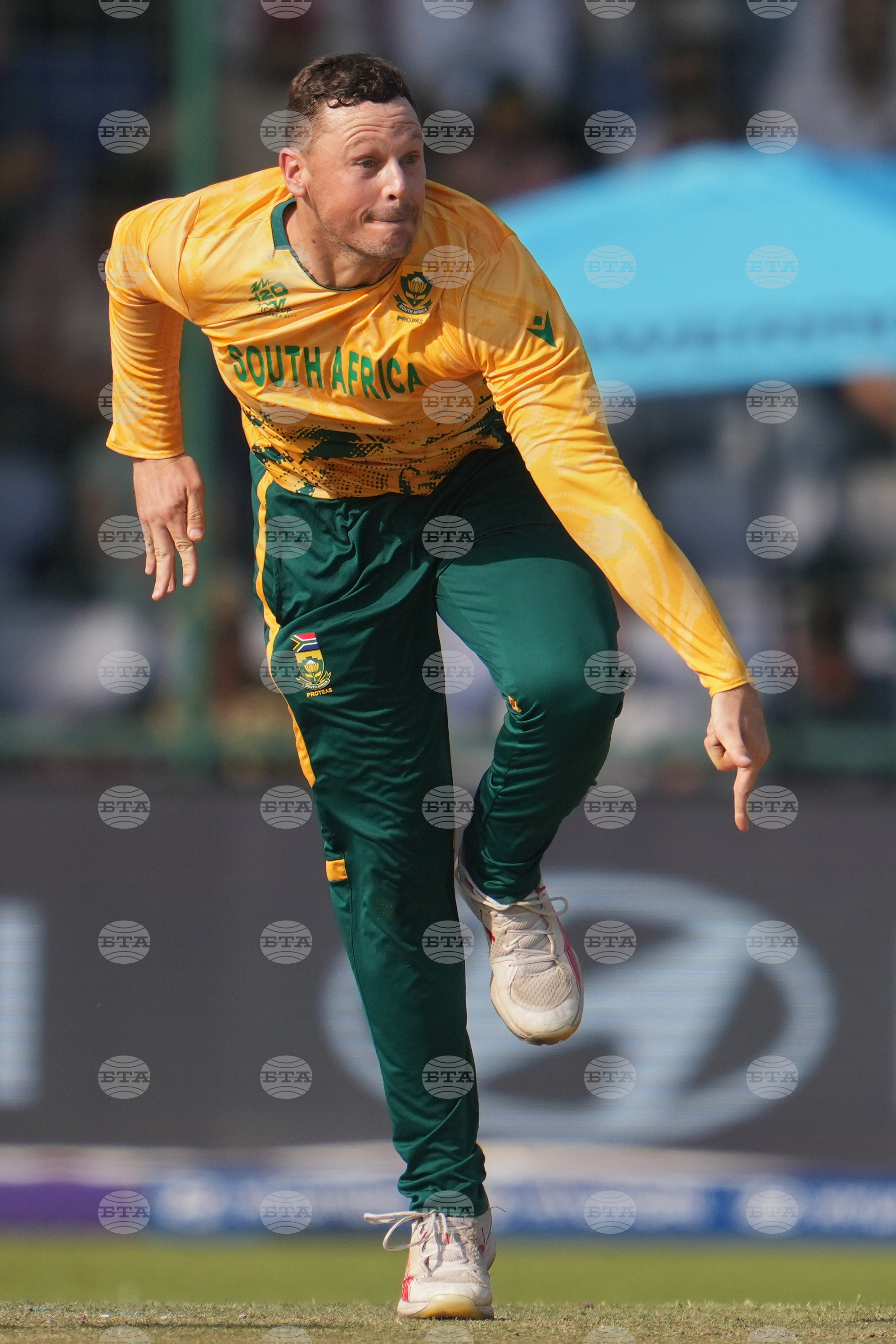 South Africa and Zimbabwe T20 WCup Cricket