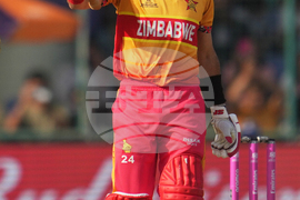 South Africa and Zimbabwe T20 WCup Cricket