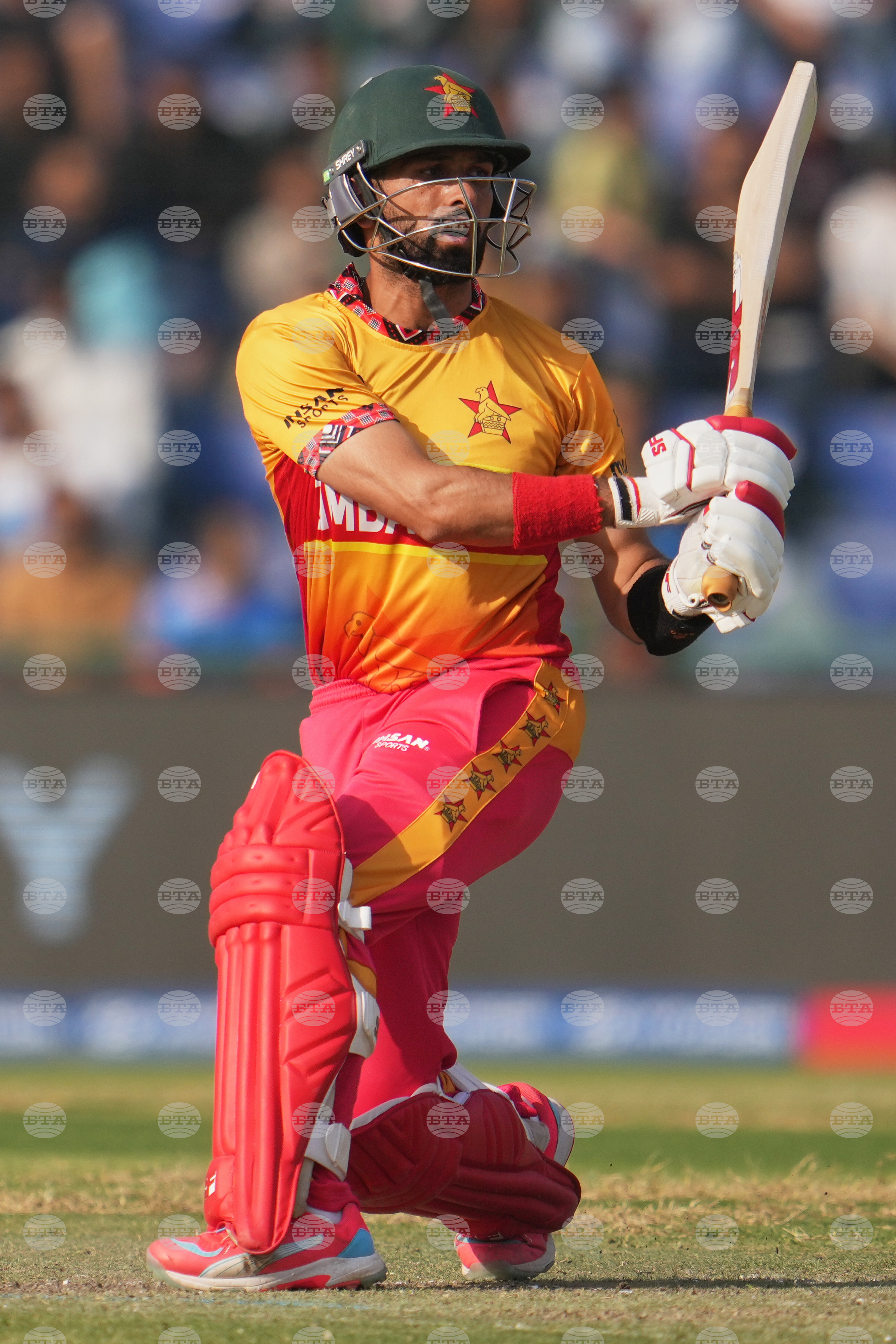 South Africa and Zimbabwe T20 WCup Cricket