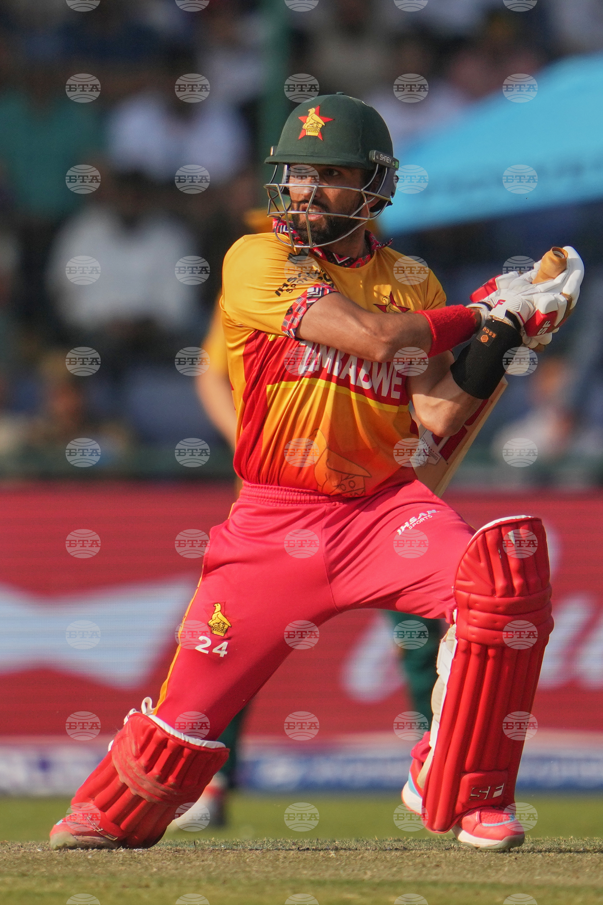 South Africa and Zimbabwe T20 WCup Cricket