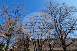 Пазарджик - Баба Марта - концерт