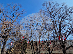 Пазарджик - Баба Марта - концерт