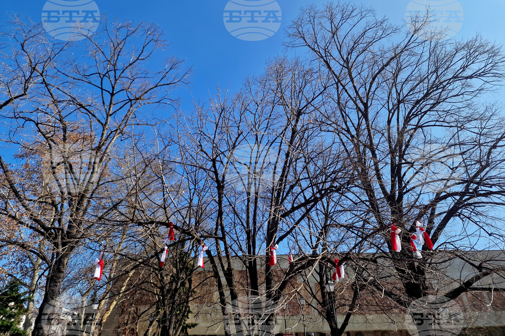 Пазарджик - Баба Марта - концерт